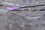_AMC4568_print res